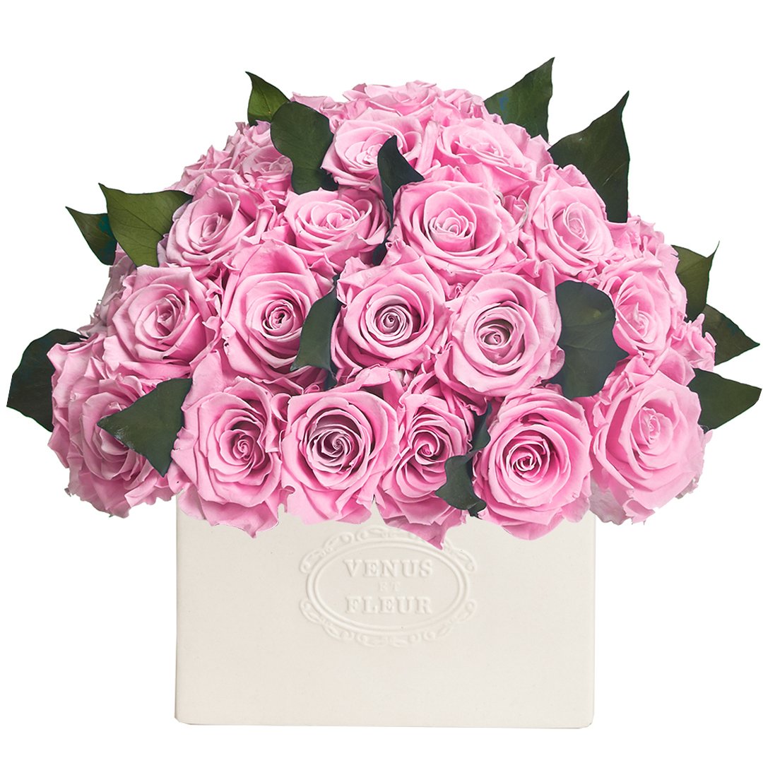 Roses With Leaves - emptybox