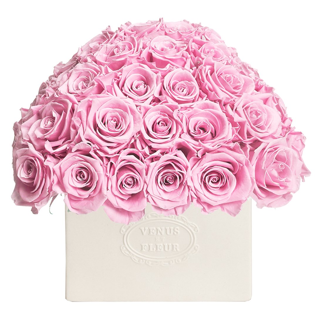 eternity roses - emptybox