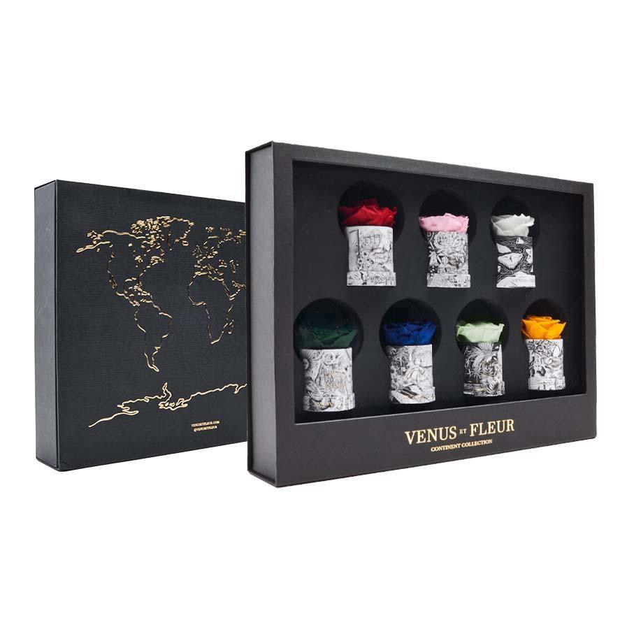 Continent Bundle
