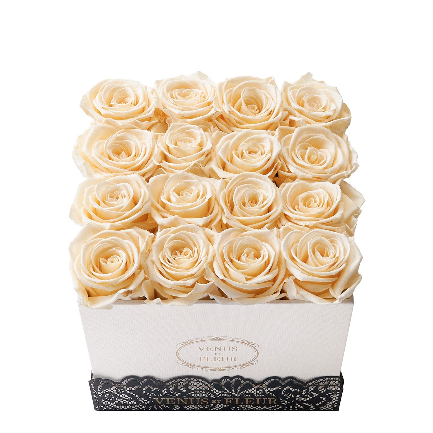 Small Ivory Dentelle Classic Box