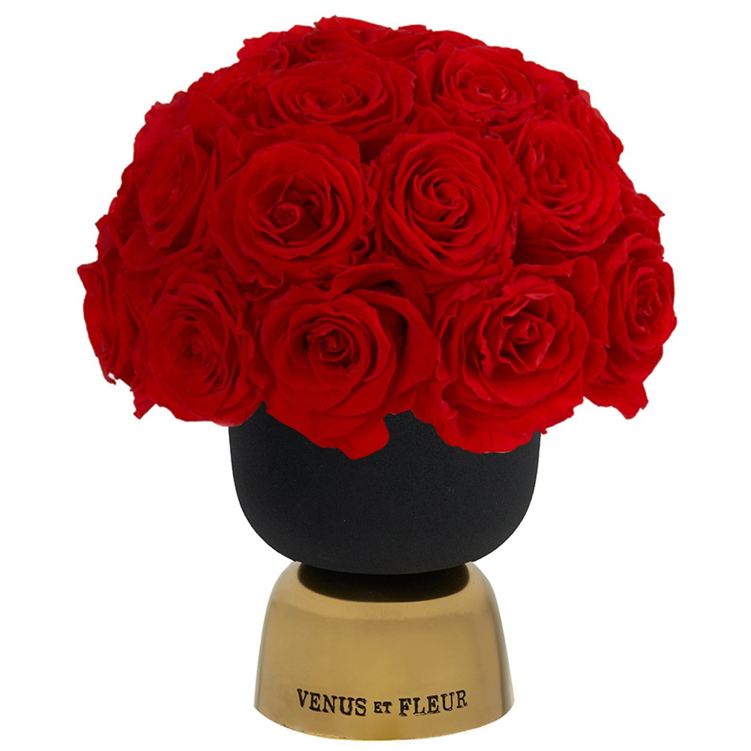 eternity roses - emptybox