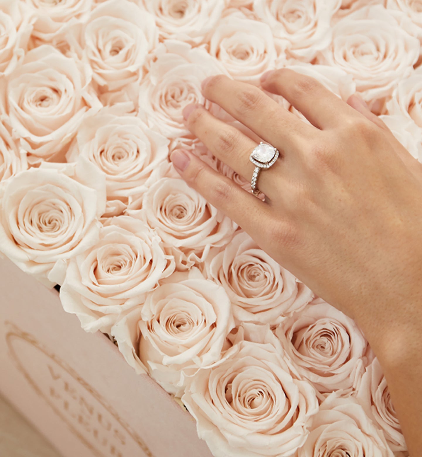 Floral Letter Z in Flowers with Eternity Roses | Venus et Fleur