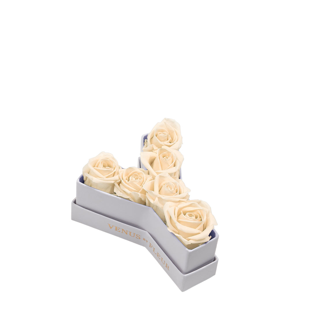 pearl_e5a527d9-8b87-417e-b370-