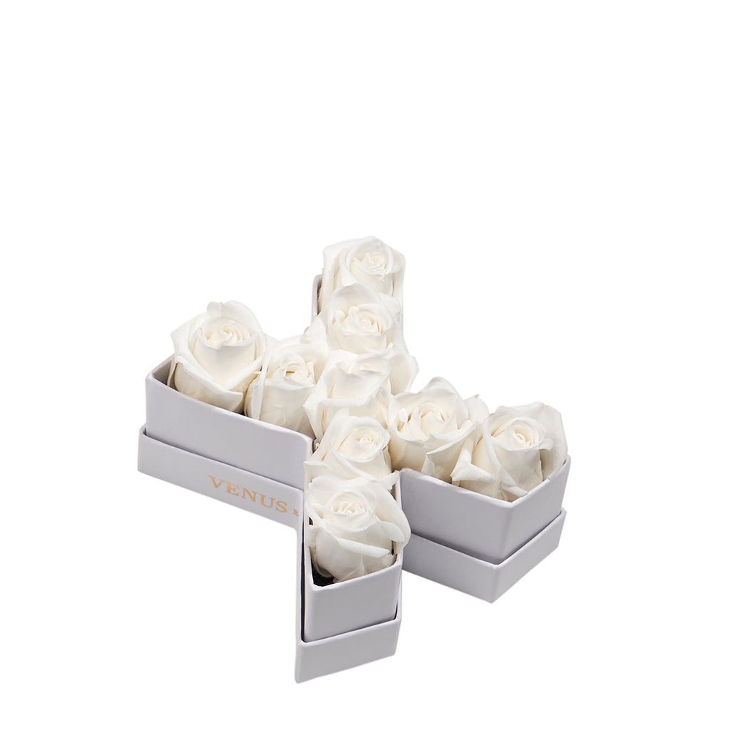 White roses arranged in a cross-shaped white box with the word 'VENUS' visible on the side.