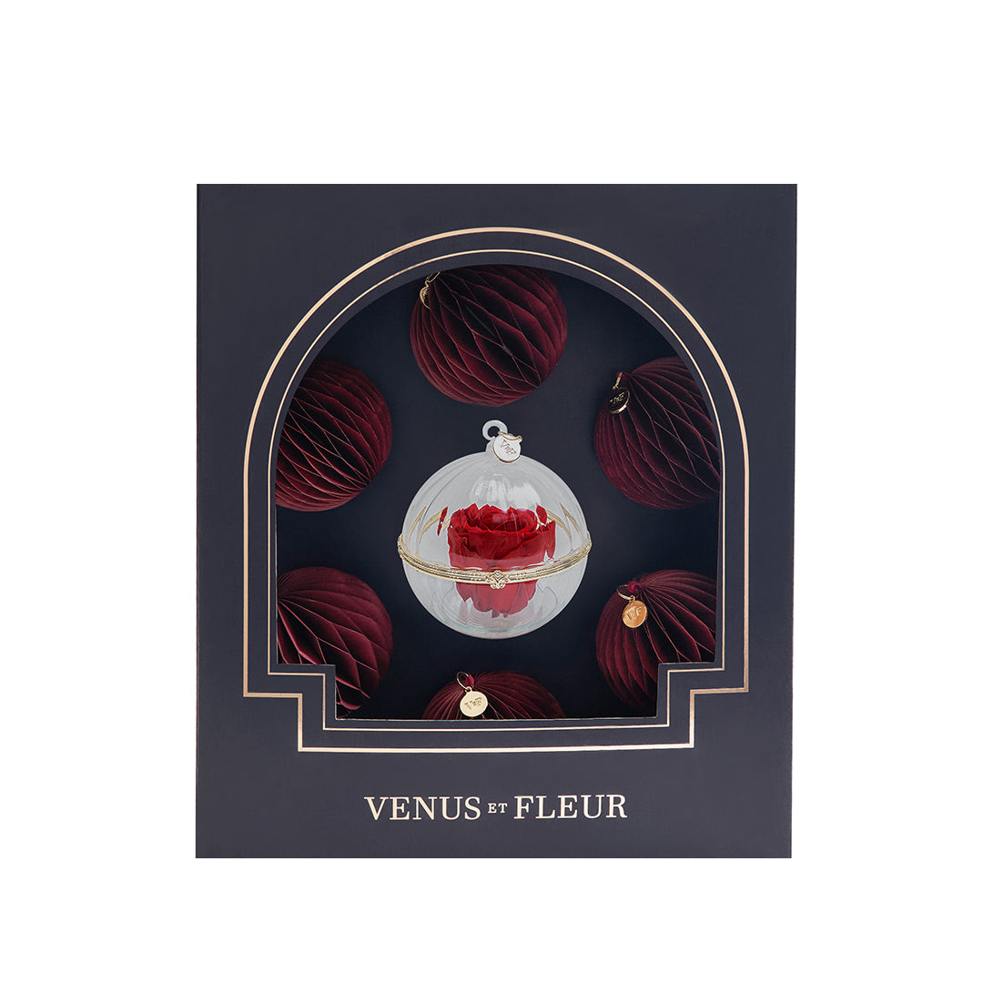 Signature Ornament Set