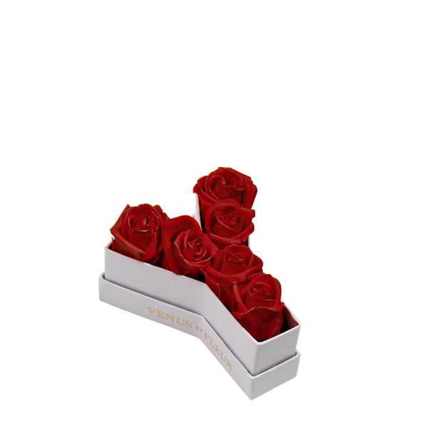 red_f42c248b-2927-4f6e-a473-
